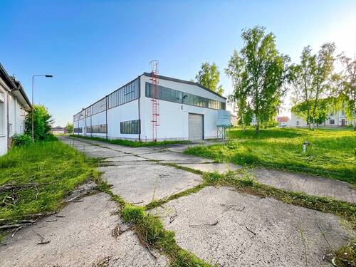 Rückansicht mit Zufahrt über westliches Rolltor - Halle zum Kaufen in Coswig