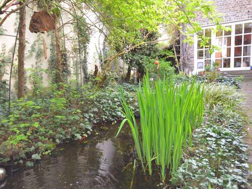 trifft auf Zaubergarten - 