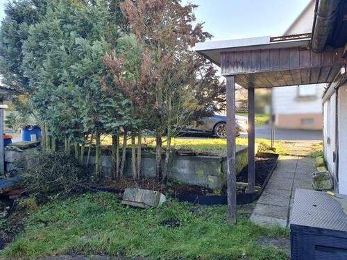 Garten (vor der Haus) - 