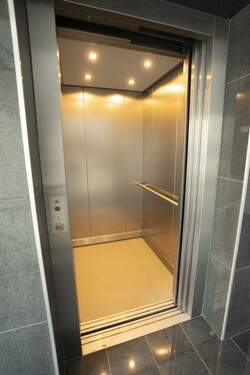 Auzug - 