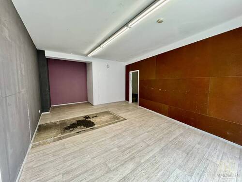 Eingangs-/Empfangsbereich - 8 Zimmer Gewerbeobjekt (Büro, Produktion, Verkauf) in Rudolstadt