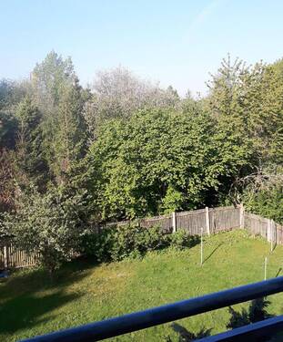 Blick vom Balkon im Sommer - 2 Zimmer Etagenwohnung in Leipzig