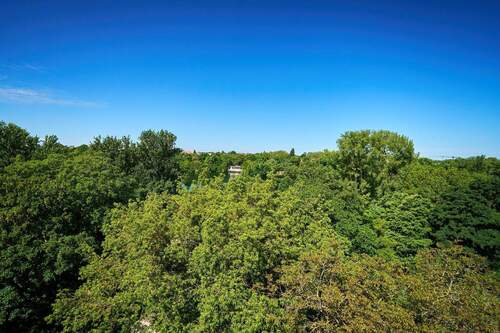 Blick aus dem Fenster - 
