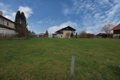 Grundstück - Grundstück in Halfing