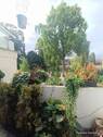 Balkon am Schlafzimmer (Gartenseite) - 