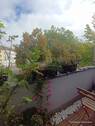 Balkon am Wohnzimmer - Etagenwohnung mit 52,40 m² in Krefeld zur Miete