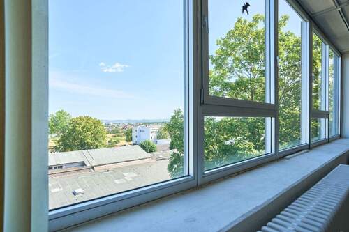 Blick nach draußen - Büro zur Miete in Ludwigsburg