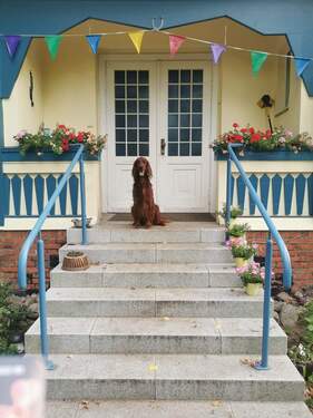 Hauseingang mit Veranda - 5 Zimmer Mehrfamilienhaus, Wohnhaus zum Kaufen in Malchow