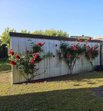 Garage, Seitenansicht.jpg - 
