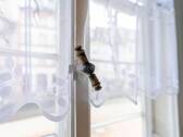 Fensterdetail - 