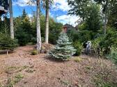Grundstück-Wald - 