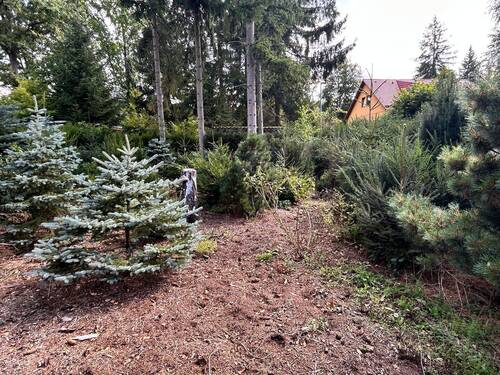 Grundstück- Wald - 