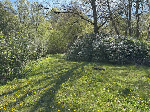 Garten mit Blick zur Alster - 