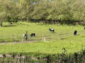 Ihre Nachbarn - 