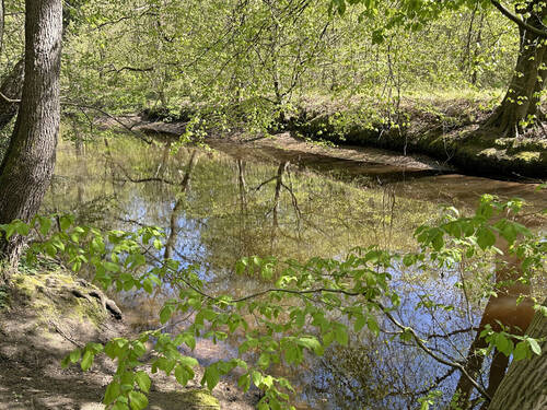 Alsterlauf - 