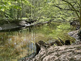 Alsterlauf 2 - 