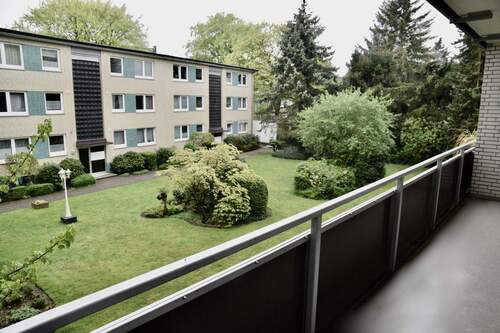 Blick in den Garten - 