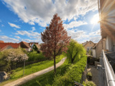 Blick in den Stadtpark - 