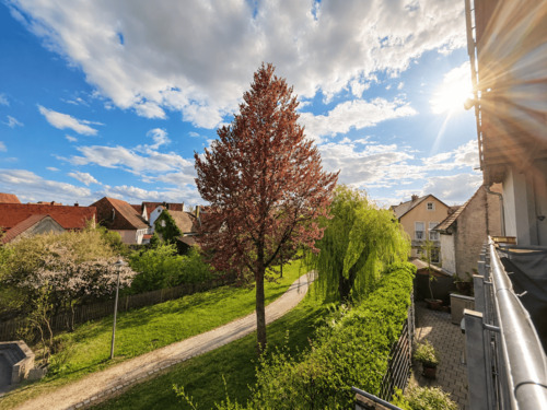 Blick in den Stadtpark - 