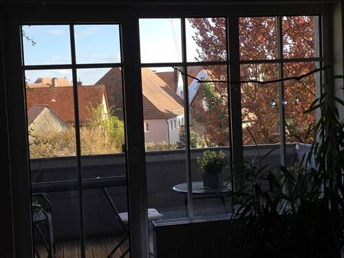 Blick über den Stadtpark hinweg - 