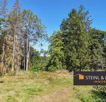 Naturnah wohnen in Hirschau – Baugrundstück ohne Bauzwang