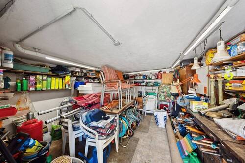 Schuppen - 