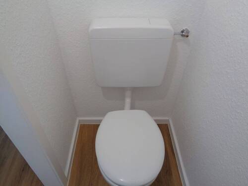 separates WC - 