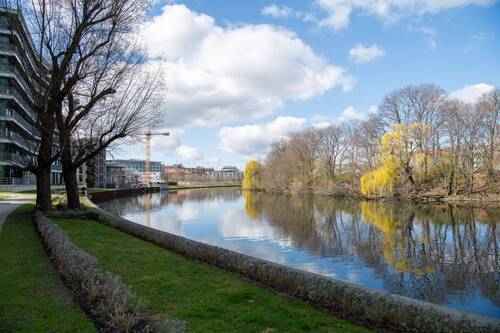 Joggen, Spazieren, Entspannen... - 