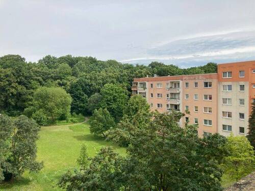 Aussicht - 4 Zimmer Etagenwohnung zur Miete in Weimar