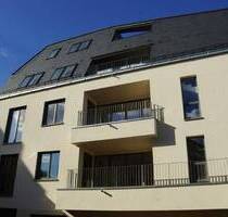 NEU - Moderner und hochwertiger Neubau in Bestlage - Dresden Bühlau/Weißer Hirsch