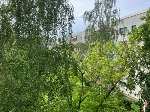 Ausblick Balkon. - 