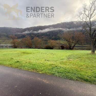 3 - Grundstück in Traben-Trarbach / Wolf