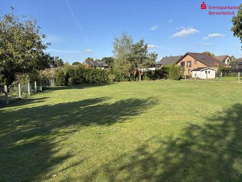 Aussicht in den Garten - 