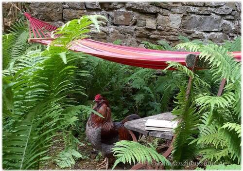 Gartenidylle am Brauhaus an der Wörnitz - 
