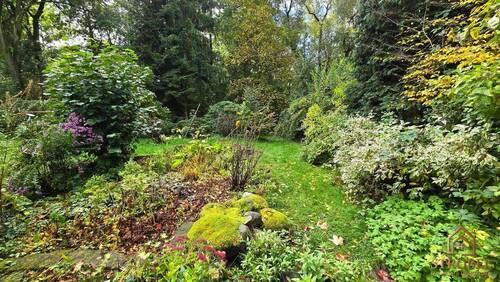 Garten oberer Teil.jpg - 