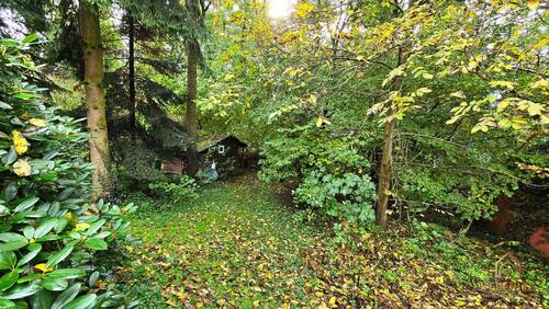 Garten unterer Teil.jpg - 