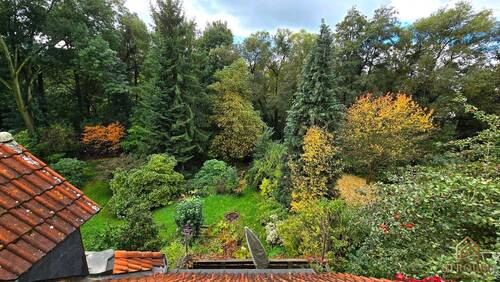 Blick ins Grundstück.jpg - Wohnen im Grünen – charmante Doppelhaushälfte mit großem Garten, Atelier & Sauna in Dresden-Schönfeld