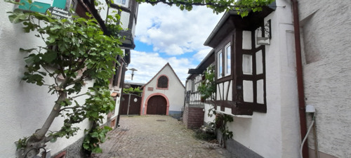 Blick zum Anwesen (1) - Einfamilienhaus mit 138,50 m² in Rhodt unter Rietburg zum Kaufen