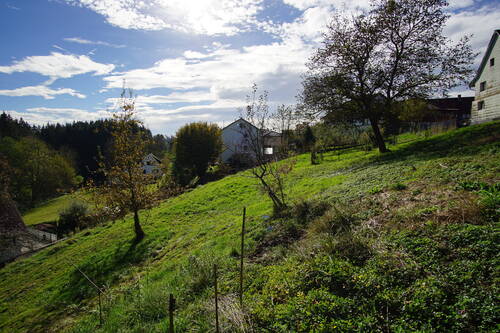 Bild 8 - 