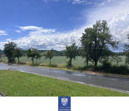 Blick - 