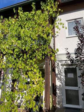 Bild 2 - 5 Zimmer Reihenmittelhaus zum Kaufen in Bad Dürrheim