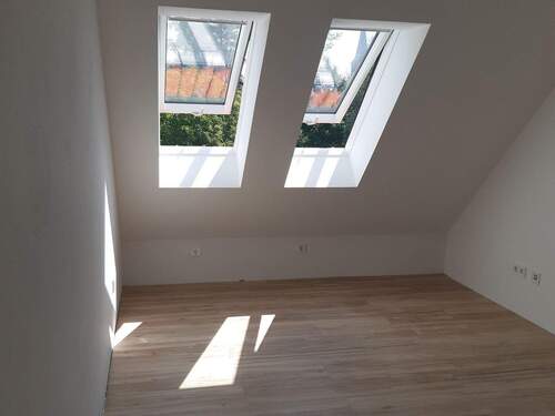 Zimmer 3 - 