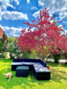 98c591b1-2bd3-48d2-8dcf-e41c45dd8c1e - 