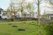 Bild 9 - 