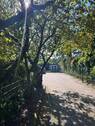 Weg zum Garten - 
