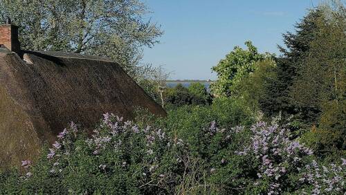 Ausblick zur Seeseite - 