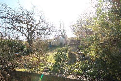 Für den grünen Daumen! - 