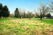 Wiese - 