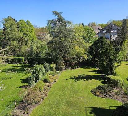 Blick in den Garten.jpg - 