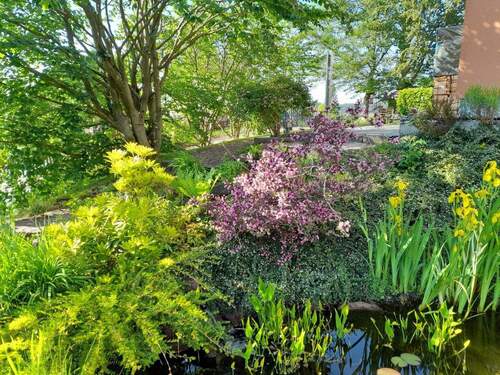 Gartenimpressionen - 